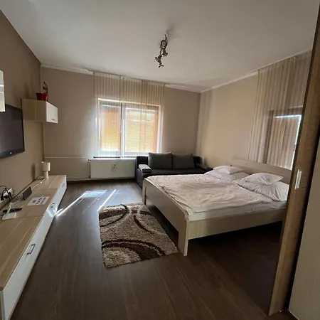 Vass Bor Vendeghaz Apartament *