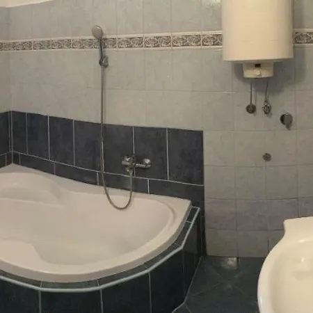 Apartament Vass Bor Vendeghaz